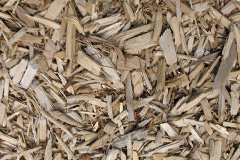 biomass boilers Arrow
